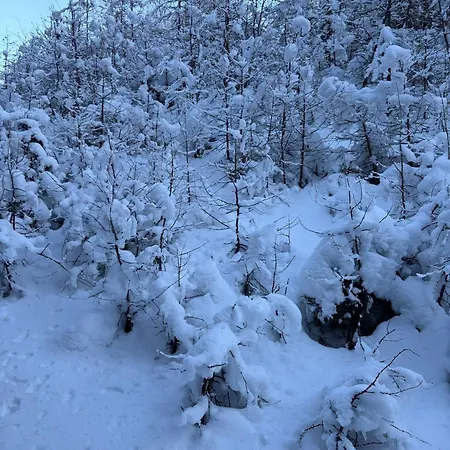 Maison Jacquemin Apartment