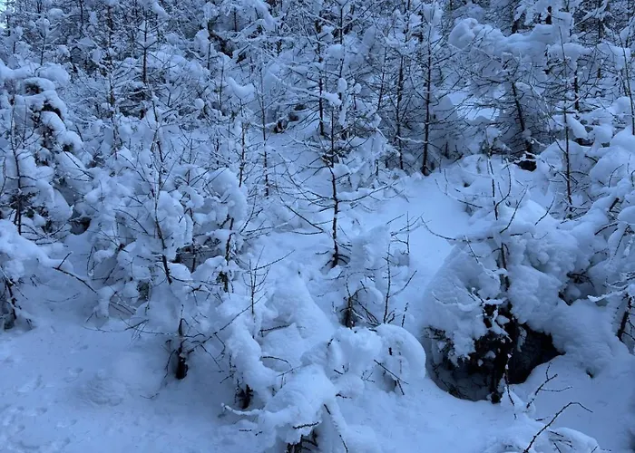 Maison Jacquemin Apartment